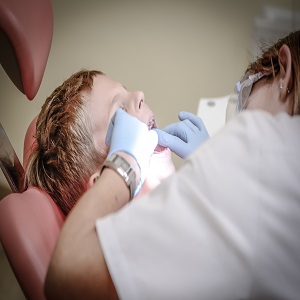 dentist alfredton